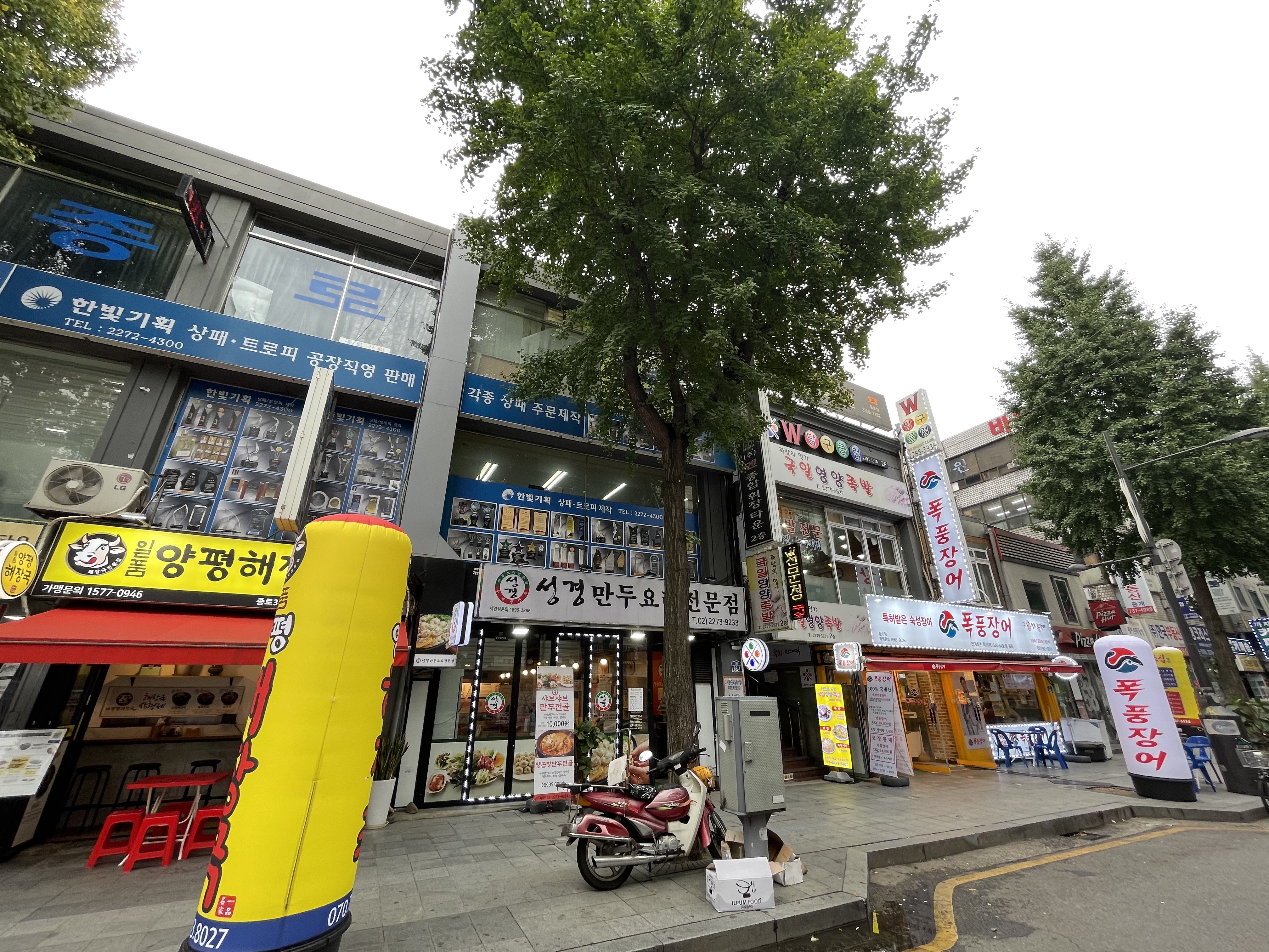 Seonggyeongmanduyorijeonmun Branch Jongro Branch (성경만두요리전문점 종로점) 2