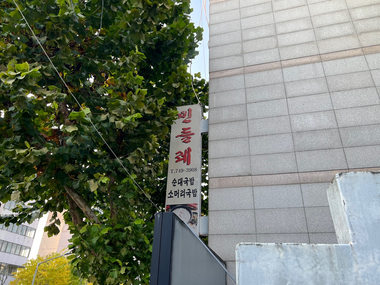 Mindeulre (민들레) 2